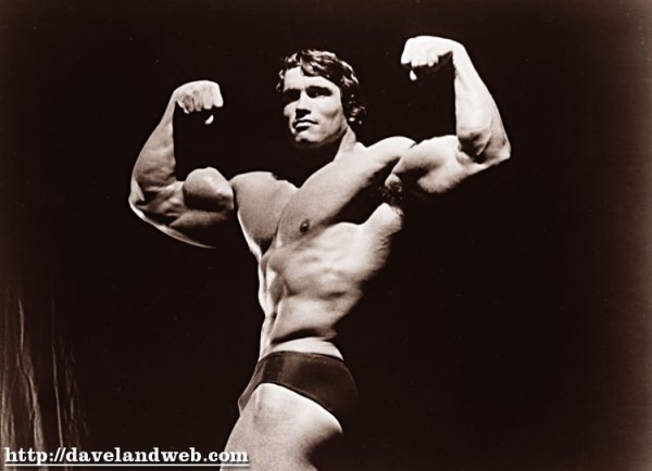 ArnoldS