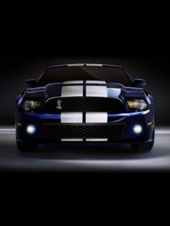 Ford shelby car mustang