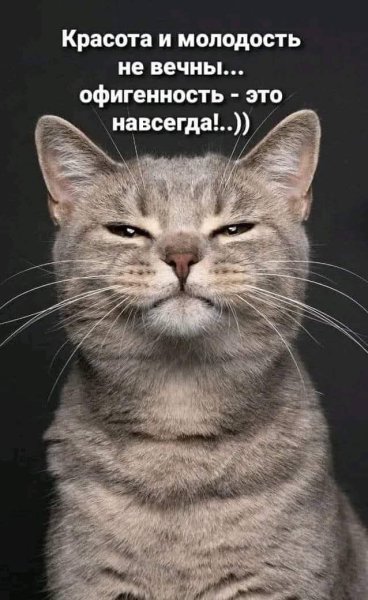 FB IMG 1762268245929