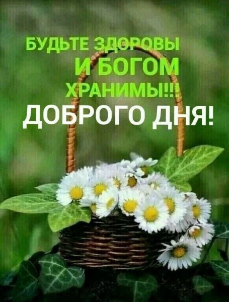 file_93915951