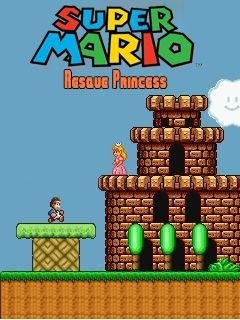 super mario rescue princess
