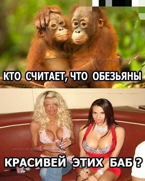 file_101989441