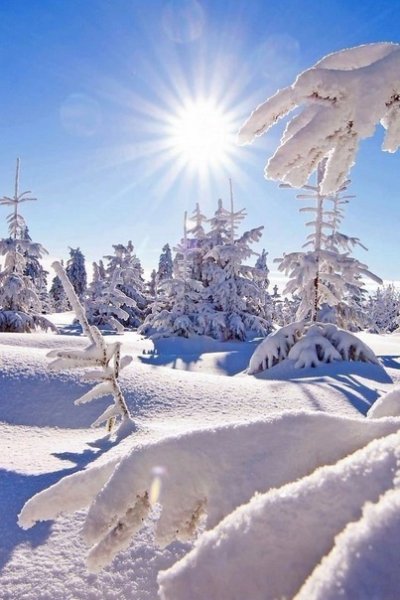 file_95526032