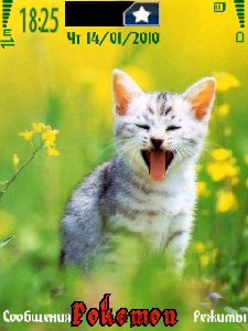 Cat by RomaNN52