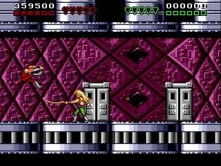 Battletoads and Double Dragon