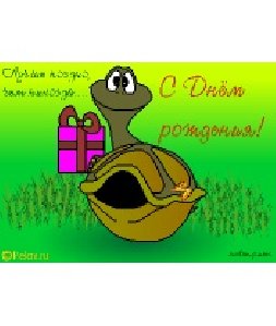 S dniom rojdenija