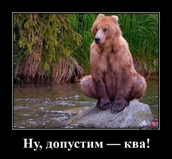 Ну, допустим КВА...