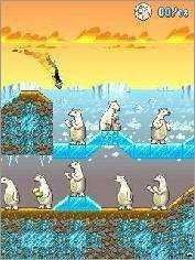 Crazy Penguin