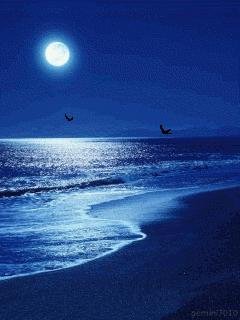 Beach Animated
