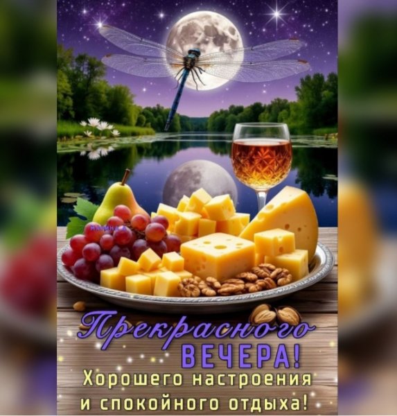 IMG 20250724 021539