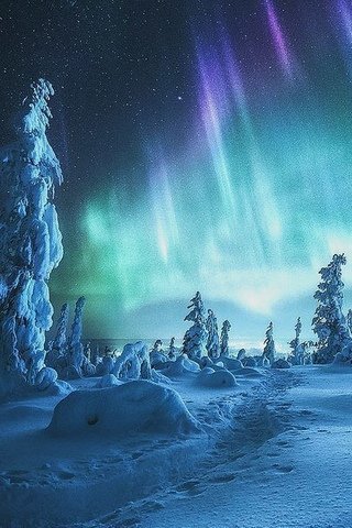 HZhhTWxKyRY