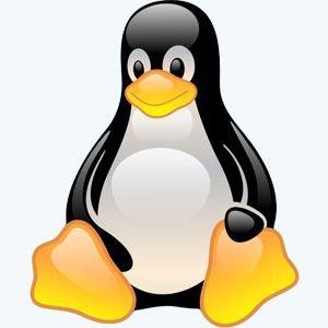 Get Linux 3.2