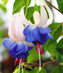 images (53)