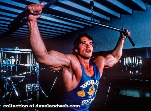 Arnold WorldGym
