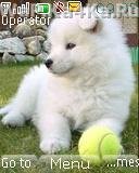 file_12787356