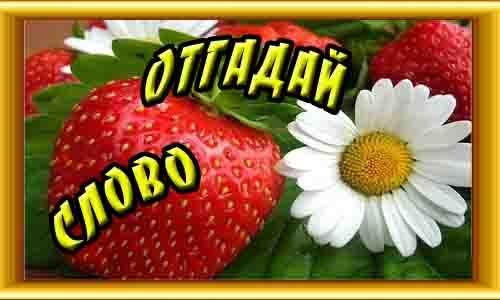 Отгадать слово