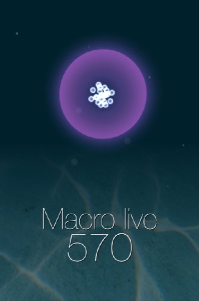 Macro live v.1.0