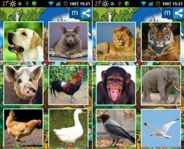 AnimalSounds.Звуки животных