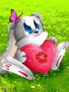 zaya
