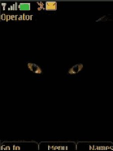 black-cat-animated-bless