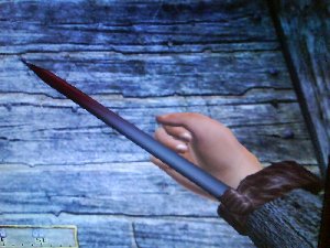 AssassinDagger