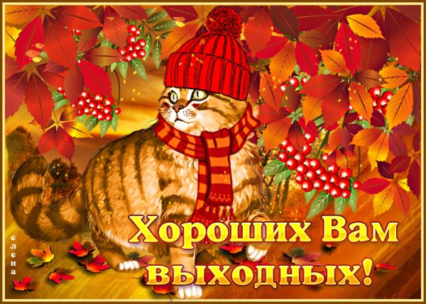 IMG 20211030 084544