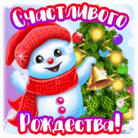 IMG 20240109 004403