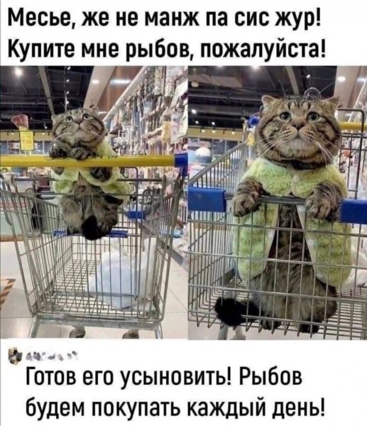 FB IMG 1756925812678