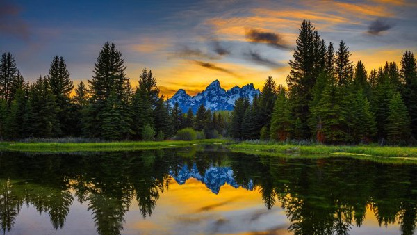 file_93013317