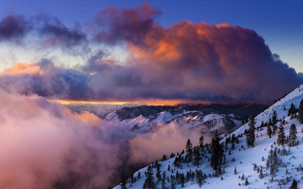 Ski Paradise 2