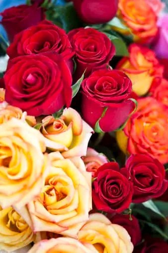 file_95693065