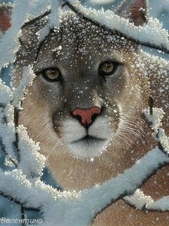file_59237450