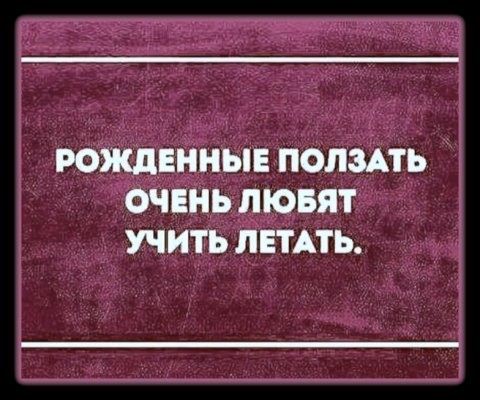 IMG viter59 194438