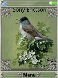 Spring song 48