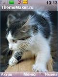 Cats by Ice