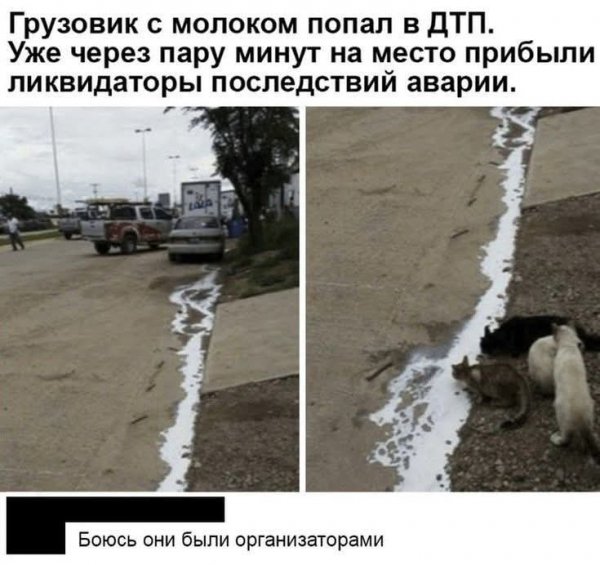 FB IMG 1764705396538