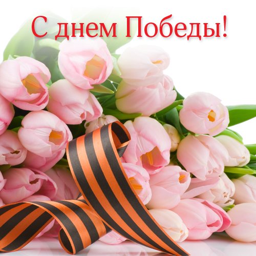 9 may 5