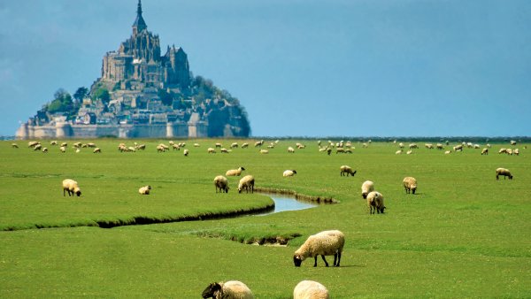 Montsaintmichelfieldfrance gettyimages-1920x1080