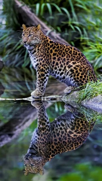 file_94183719