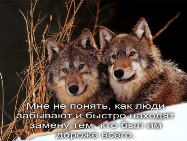 Дороже всего