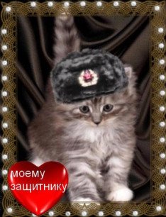 Моему защитнику