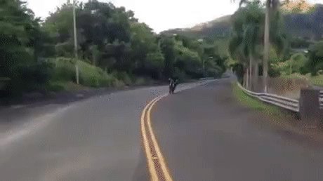 gif 1472378411