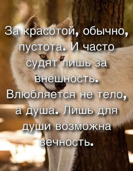 За красотой, пустота