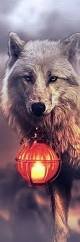 images (39)