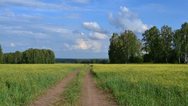 file_75866690