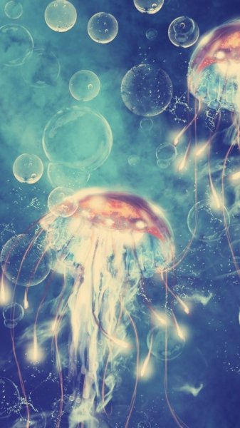 wallpaper 480x854 6 23