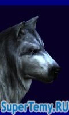 AnimatedWolf