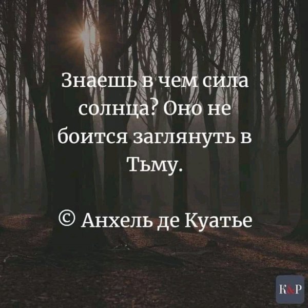FB IMG 16219814310046730