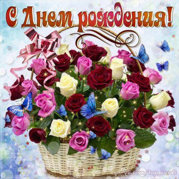file_81297866