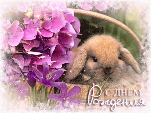 С Днём Рождения!